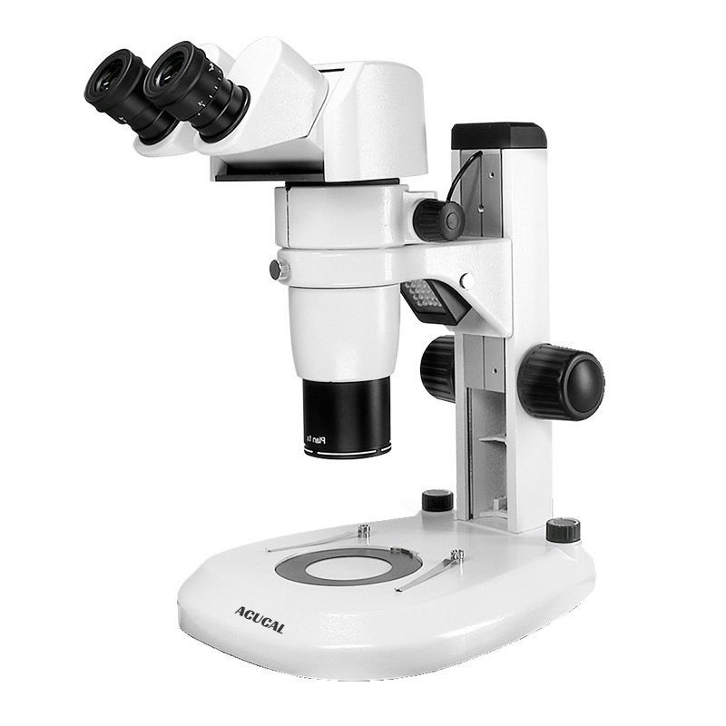 Product View